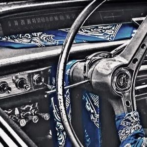 Meet your Posher, Emanuel